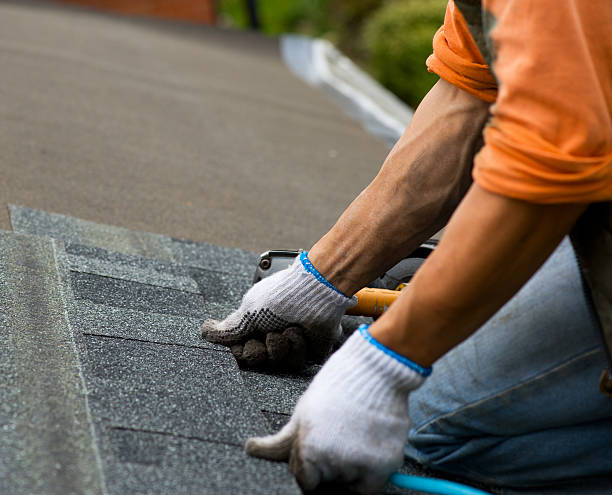 Quick and Trustworthy Emergency Roof Repair Services in Fairview Shores, FL